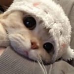 Viviana Mármol avatar